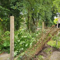 De pergola gaat langzaam verdwijnen
