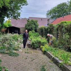 Verwijderen van een stuk van de dikke heg
